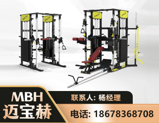 抚顺多功能综合训练器