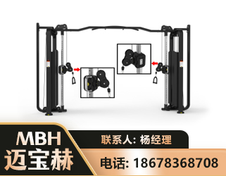 抚顺大飞鸟训练器